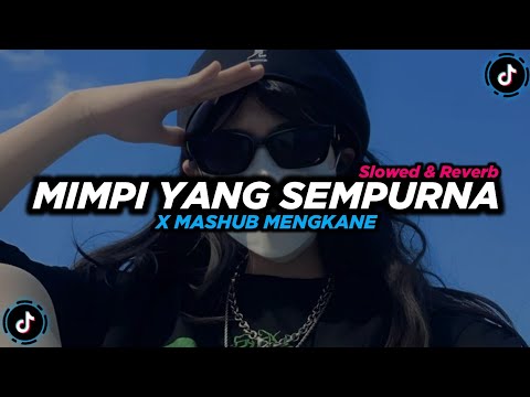 DJ Mimpi Yang Sempurna x Mashup - Slowed+Reverb 🎧