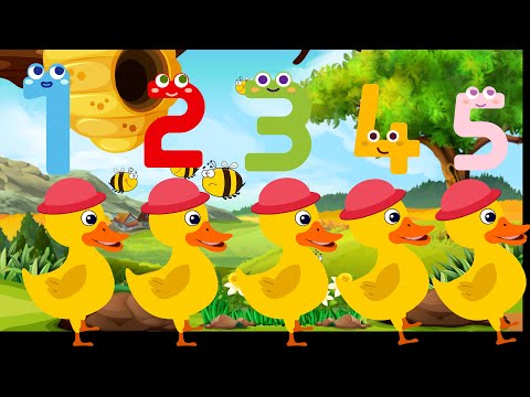 Five Little Ducks Numbers Song | Kids Songs & Nursery Rhymes | Learn To Count