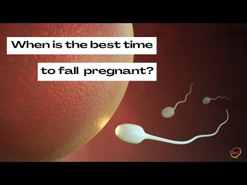 The Best Time to Fall Pregnant | Pregnancy and Fertility Tips on When to get Pregnant