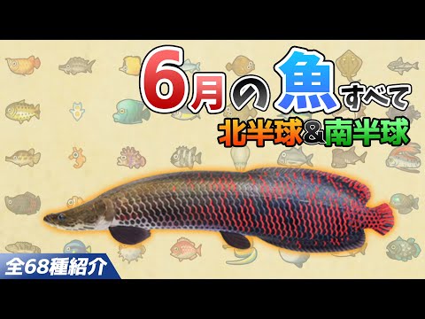 【あつ森】6月に釣れる魚を全て紹介！魚影や出現場所、時間、条件、買取値段など徹底解説！サメやピラルク、ドラド、シイラなどレア魚が大量【あつまれどうぶつの森　6月の魚図鑑コンプリート】