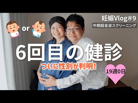 【妊娠Vlog＃9】6回目の妊婦健診｜19週0日｜中期超音波スクリーニング｜抜け毛の進捗｜性別発表♡