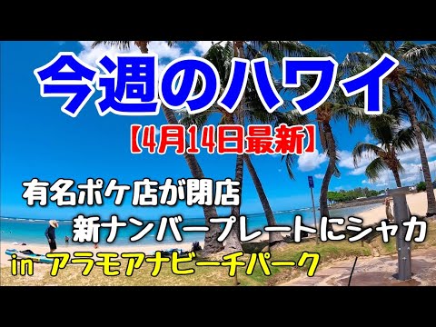 【今週のハワイ★４月１４日最新版】１週間のハワイ情報をまとめてお届け♪これを見ればハワイの今がわかる！！