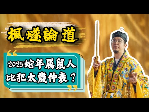 【楓燧論生肖】2025 年属鼠嘅唔犯太岁，但矛盾同冲突多多？到底系乜嘢回事？快啲嚟睇下！#楓燧大師兄 #生肖運勢