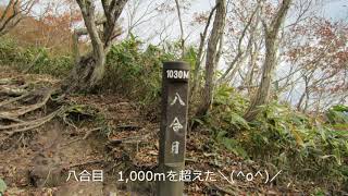 中蒜山しんどい登山（S コメント）