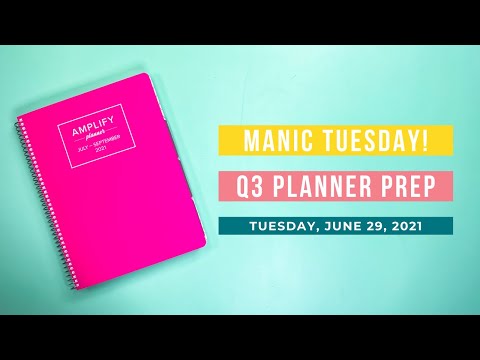 Manic Tuesday | Plan With Me!