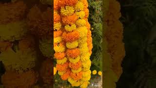 Beautiful flower garlands #viral #gardening #flower