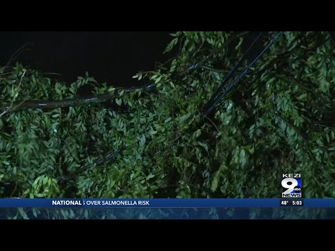 Storms down trees and power lines in Portland area