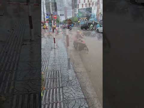 【富國島】午後暴雨，街頭巷尾，到處淹水，情景不堪2024-9-10