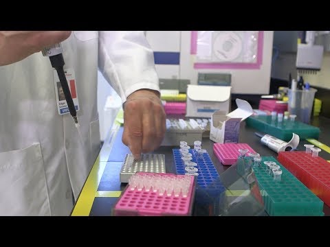 How To Authenticate Your Cell Lines with Thermo Fisher Scientific