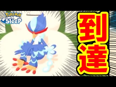 ゴールド旧発電所マスター１１の世界。【ポケモンスリープ】