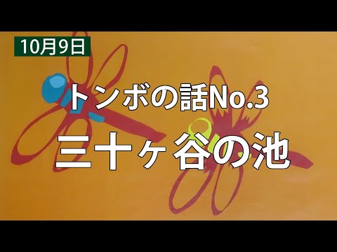 三十ヶ谷の池【トンボの話No.3】