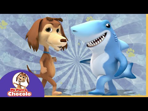 BAILA JUNTO AL PERRO CHOCOLO 🐾 Y EL TIBURÓN 🦈 |  CANCIONES INFANTILES