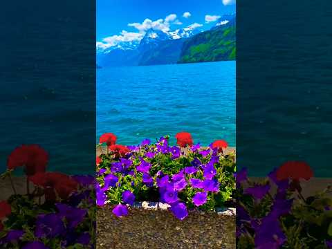 #largano #switzerland 14 #fypシ゚viral #fyp #free #travel #travelling ,#europe #love #best #shorts