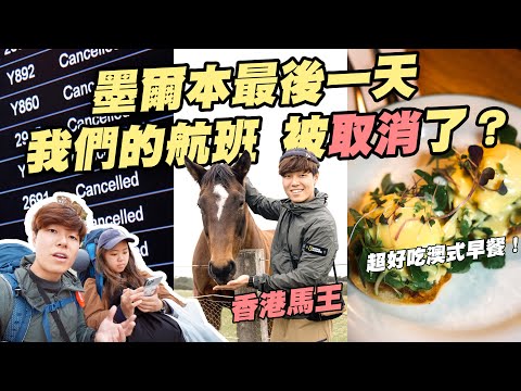 【滯留】航班取消... 必食澳式早餐 | 探訪「移民」澳州的香港馬王 |  Living Legends | 18 days in Australia Day 11 @momokwokMMK