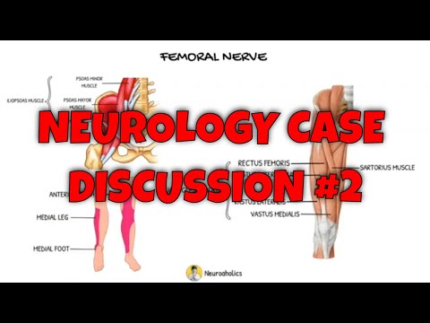 How does referred pain in low back happen? Referred low back pain sucks! | Neuroaholics