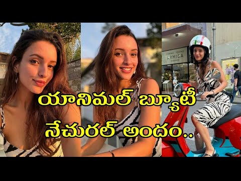 HEROINE TRUPTHI ANIMAL MOVIE HEROINE IN ITALY VACATION PICS #viral #trupthi