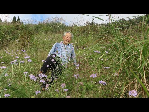 花見山登山