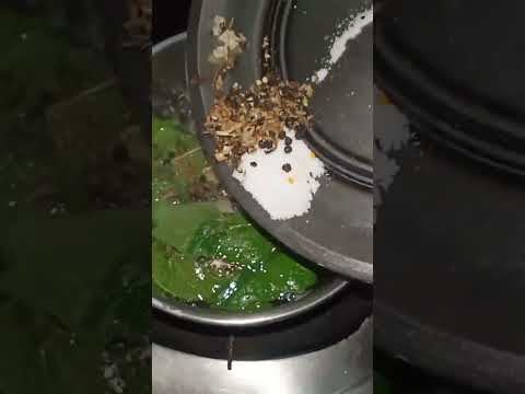 cold relief vetrilai leaf karpuravalli kashayam ingredients in description #shorts