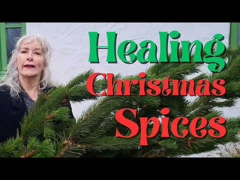 Healing Christmas Spices