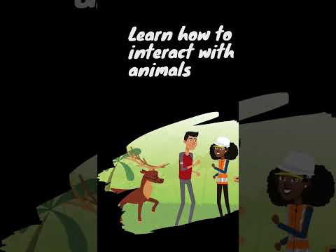 SafetyKay - New Animal Safety Videos for Kids