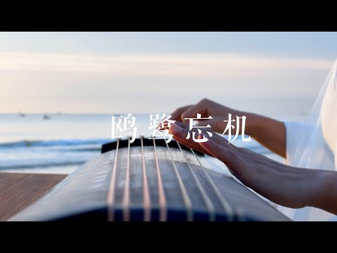 人能忘机，鸟即不疑。《鸥鹭忘机》Guqin——意境高远的古琴名曲。