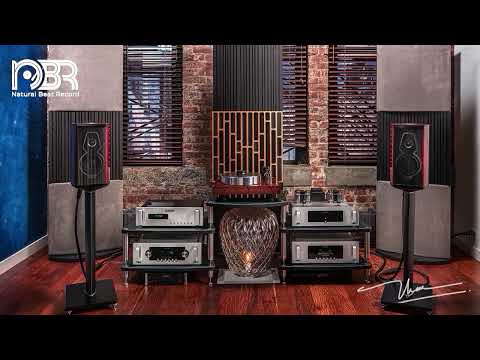 Hi Res Music Sound Test Audiophile's Room - Natural Beat Records