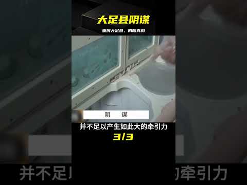 重慶大足縣--致命的陰謀 #專治失眠的驢 #案件 #探案 #懸案 #懸疑