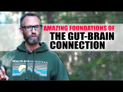 The Gut Brain Connection Can Change Your Life - Foundations