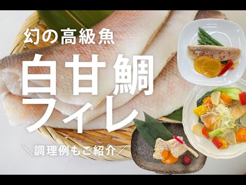 幻の高級魚【白甘鯛フィレ】のご紹介