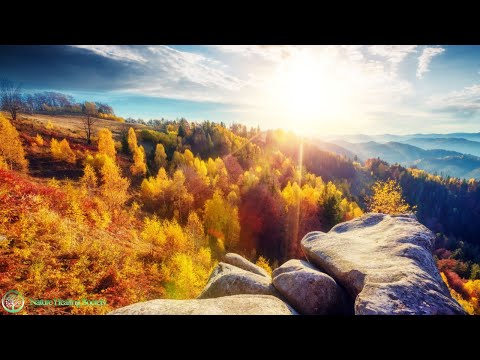 GOOD MORNING MUSIC 😍 Soothing Relaxing Positive Frequency Energy 528HZ