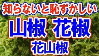 【衝撃】知ってた？花山椒と花椒と山椒の違い！今さら聞けない…早速確認！