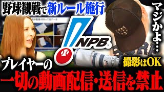 【野球観戦の新ルール】2025年2月から「プレー中の選手写真や動画の配信NG」にSNSで賛否の声が…