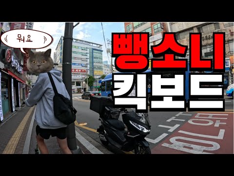 충돌후 그냥가는 킥보드를 잡았다