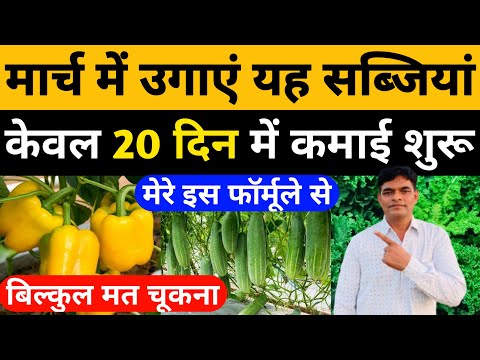 March Me Konsi Sabji Lagaye।मार्च में लगाई जाने वाली सब्जियां।March Vegetable to Grow। Vegetables