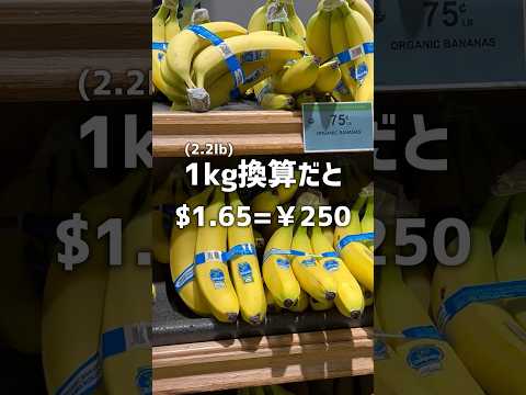 【検証】アメリカの安めのスーパーはどれだけ安いのかチェックしてみた - part 1 - #海外生活 #publix