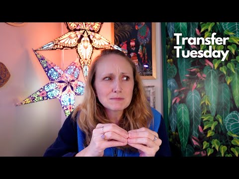 Why is it so confusing to be unemployed? | Transfer Tuesday