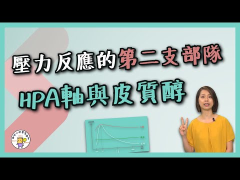 壓力反應的第二支部隊--HPA軸與皮質醇 | 壓力反應的後援部隊 | 健康心理學【壓力、成長與健康實驗室】