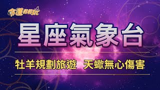 【命運好好玩】2024/12/13星座運勢 - 牡羊規劃旅遊 天蠍無心傷害