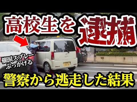 高校生が警察から逃走した結果、催涙ぶっかけられ逮捕、最高にスカッと【閲覧注意】交通事故・危険運転 衝撃の瞬間【367】