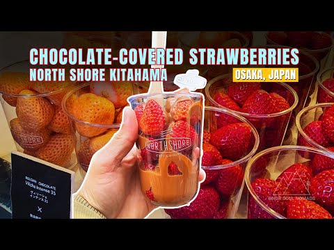 FAMOUS Chocolate-Covered Strawberries | North Shore Kitahama | Osaka, Japan