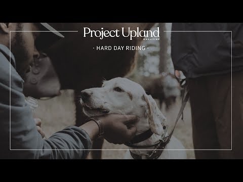 Georgia-Florida Shooting Dog Handlers Association - Hard Day Riding - Official Trailer