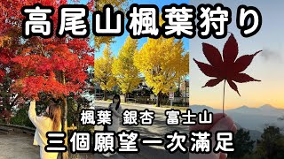 【高尾山一日遊】東京近郊賞楓景點！銀杏、楓紅、富士山一次看！秋季必去清單🍁