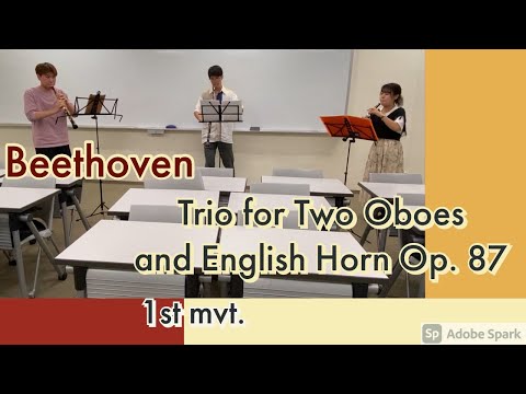 Beethoven Trio for Two Oboes and English Horn Op.87 1st mvt.