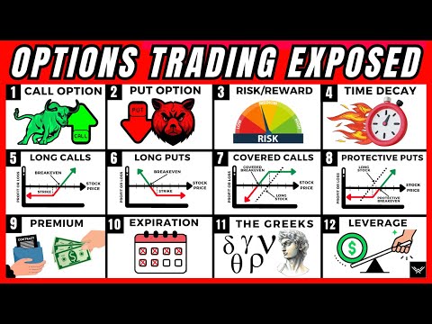 ULTIMATE Options Trading Beginners Guide (Expert In 10 Minutes)