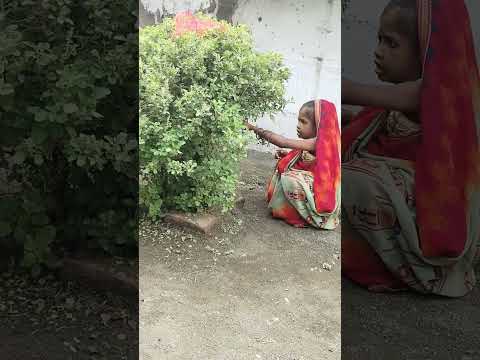 👉😍 छोटी बहु तुलसी मैया में..#chhoti badhu#balika vadhu#saas Bahu ki nok jhok#funny#video#viral#तुलसी