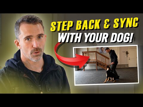 Easily Teach Your Dog The Backwards Slide in Heel Position!