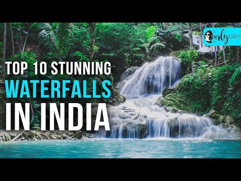 Serenity in the Jungle: Mesmerizing Rainforest Waterfalls | Rainforest Reels | Film