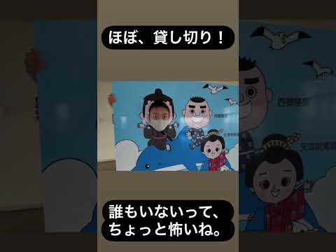 【九州一周親子旅】桜島　#shorts