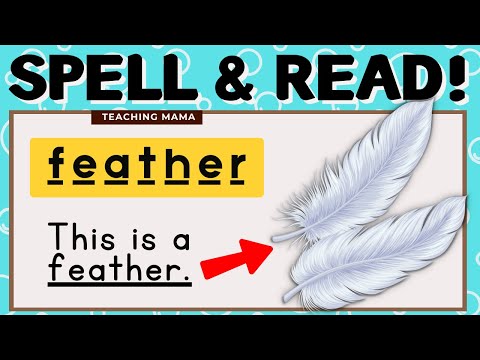 SPELL & READ! | VOCABULARY WORDS FOR KIDS | PRACTICE READING ENGLISH | SPELLING | TEACHING MAMA