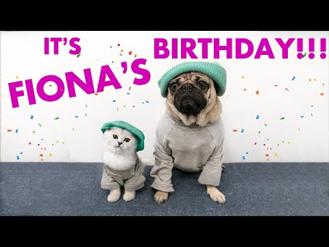 Happy Birthday to my lil sister, Fiona!!